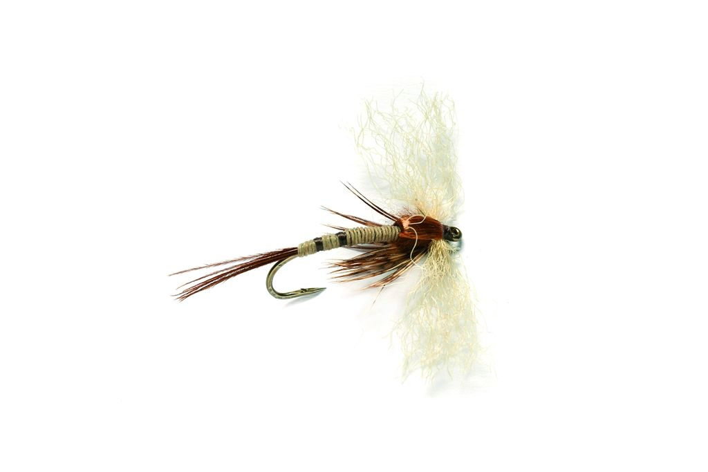 Spent Mayfly