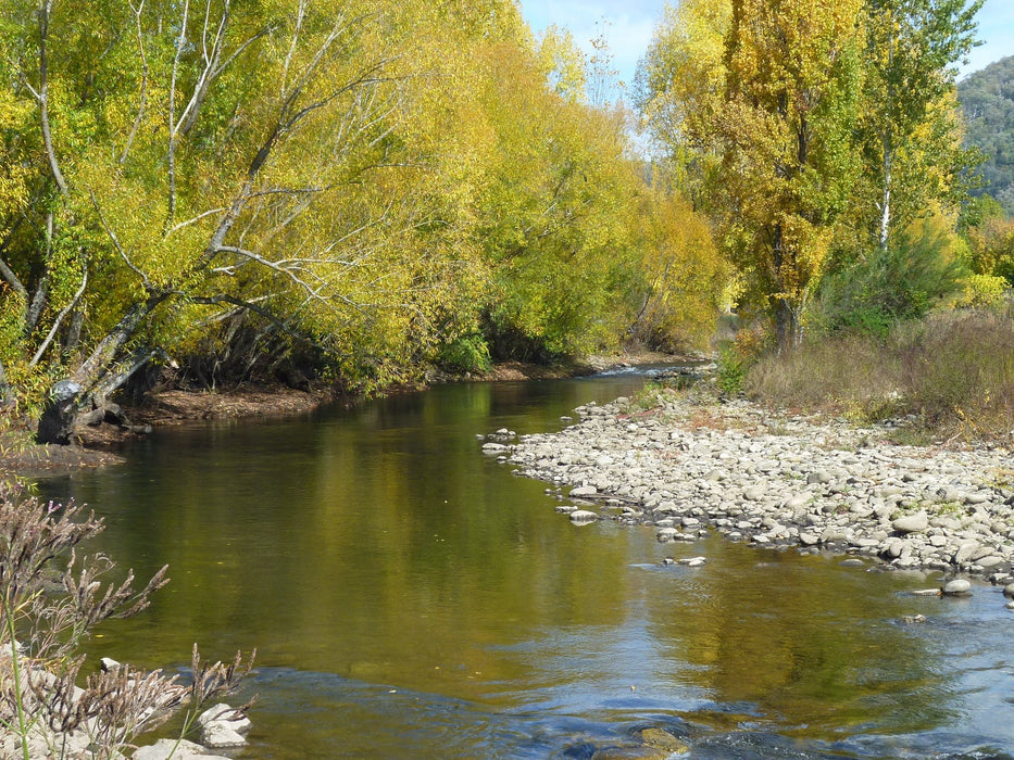 Premium Staff Picked Fly Selection - Kiewa River System