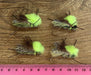 Large Cicada #8