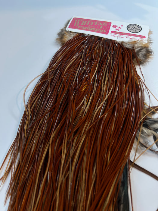 Whiting Bronze Dry Fly Saddle Brown
