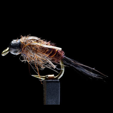 Back Country Pheasant Tail #14-16