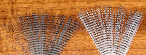Mayfly Tails Lt. Dun Black Barred - The Flyfisher