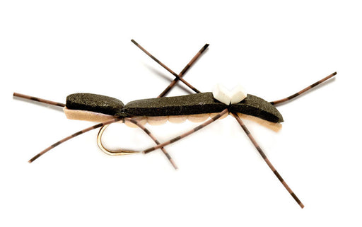 Chernobyl Ant - Black and Tan