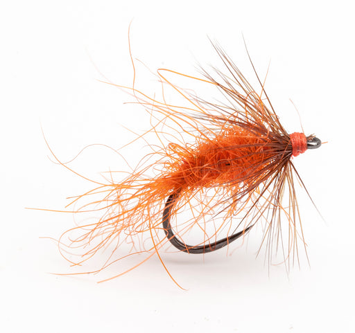 Bassano Carrot Fly (Barbless)