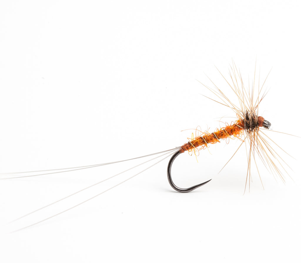 christopher-bassano-orange-spinner-trout-fly — The Flyfisher