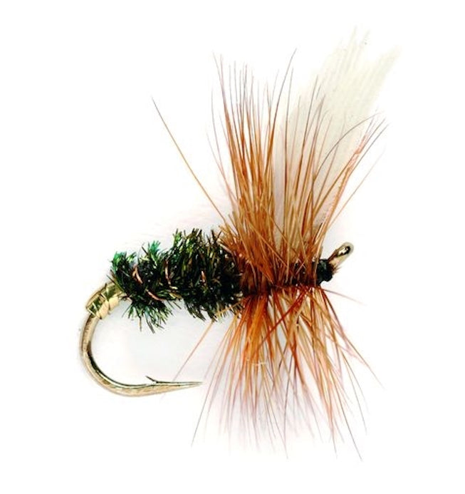 Coachman Fly Pattern Australia | The Flyfisher