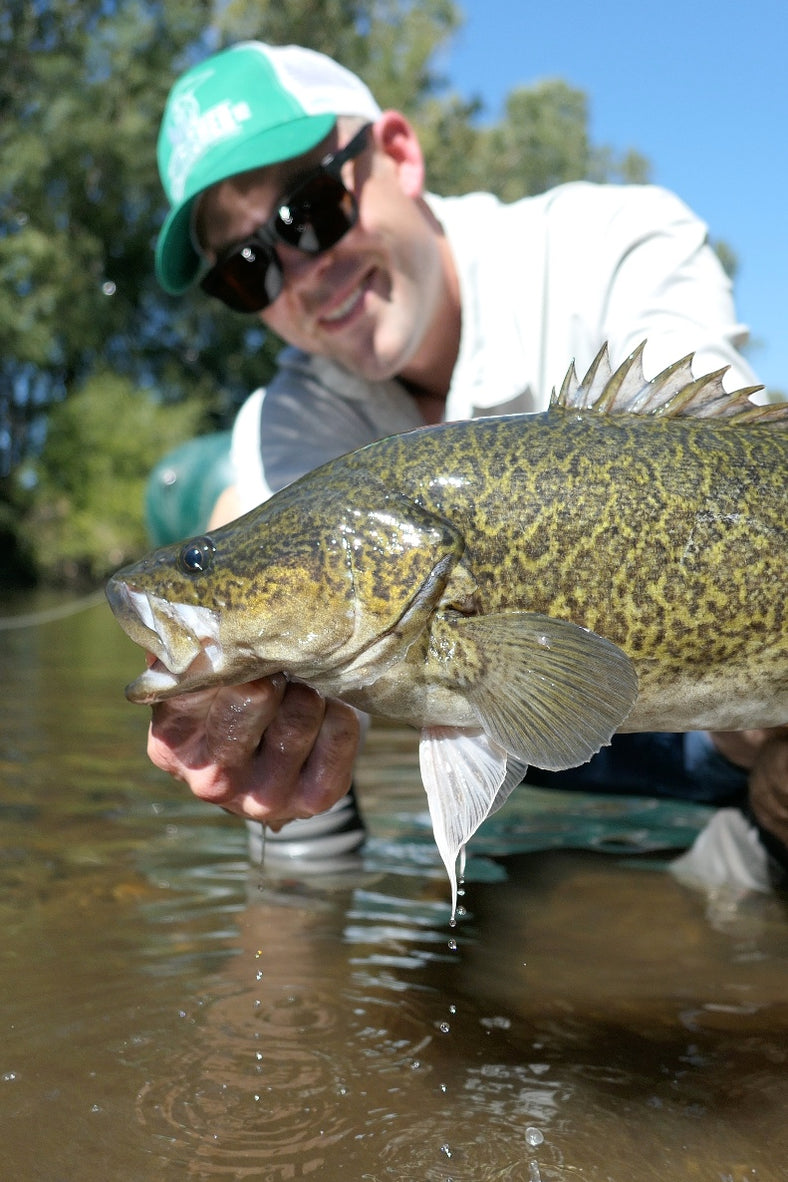 Native Cod Flies Murray Cod Flies // The Flyfisher, Australia's Fly Shop