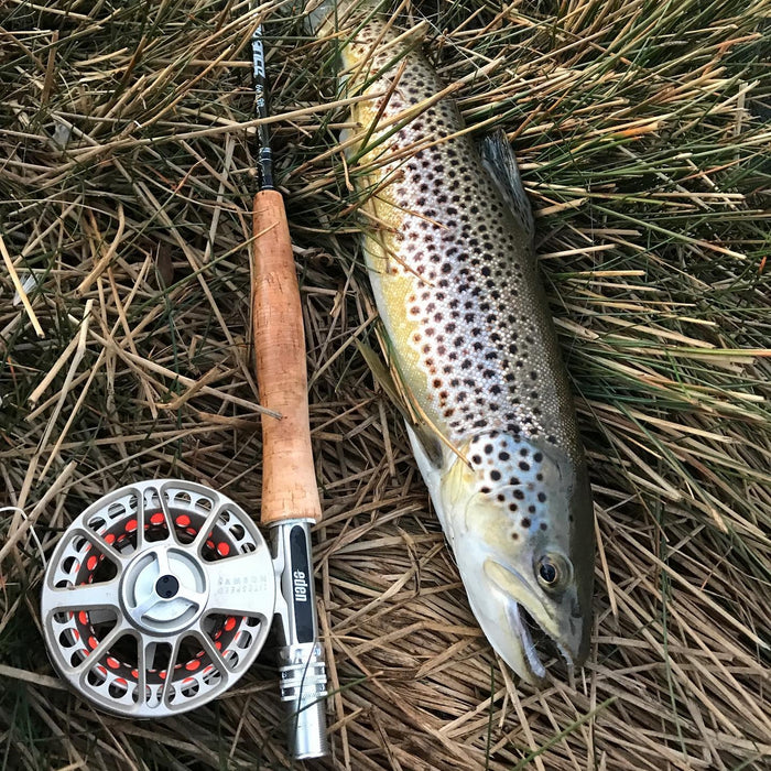 best fly fishing rods australia Eden Advance Fly Rods