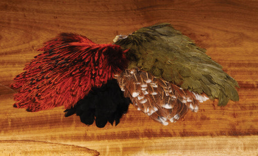 India Hen Back Feather - The Flyfisher