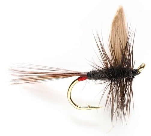 Iron Blue Dun Australia - iron blue dun fly pattern