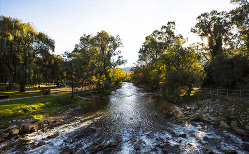 Premium Staff Picked Fly Selection - Ovens River System