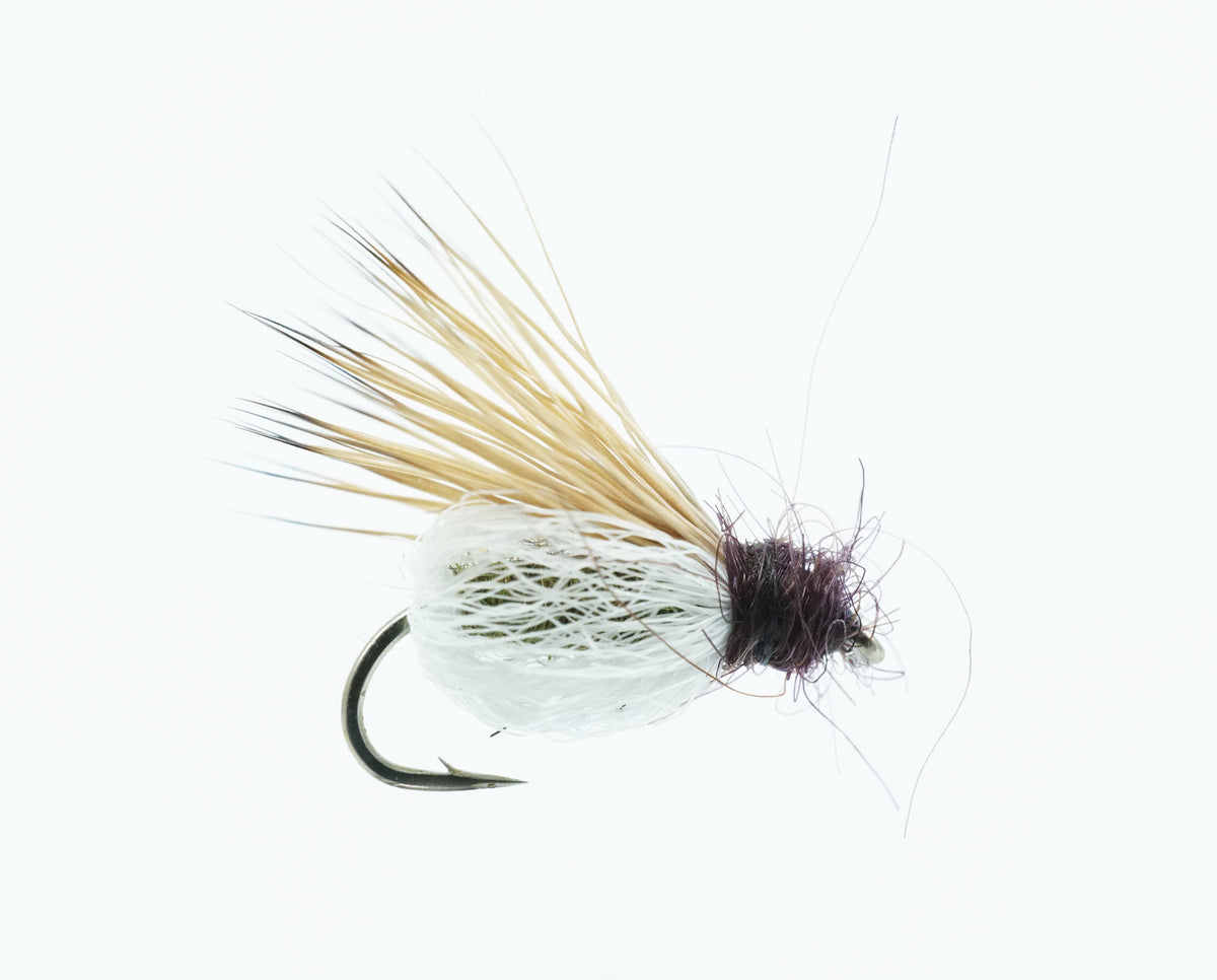 White Sparkle Pupa Dry — The Flyfisher